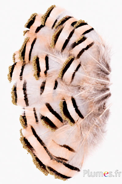 Patrijs met gouden glitters - 6-7 cm - natuurlijk